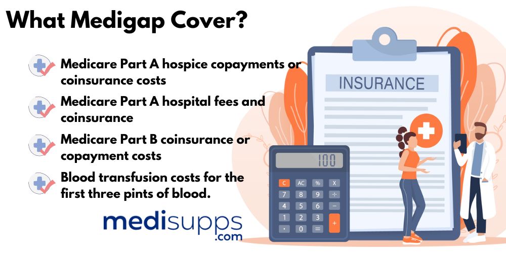 What Medigap Cover